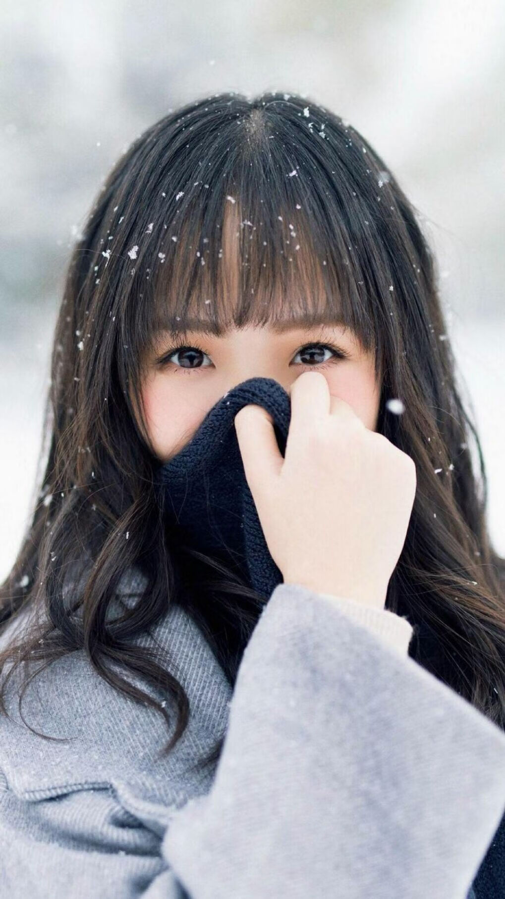 新加坡队赛制研究:如何在复杂赛制中提高整体作战能力,新加坡赛制注重什么