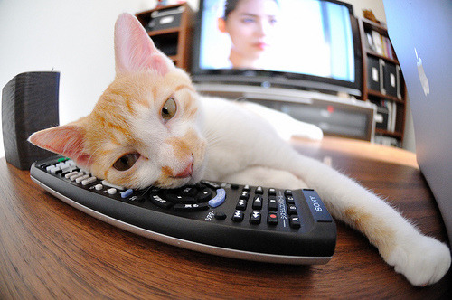 美国队如何在国际乒联混合团体世界杯中应对强队挑战，美国乒乓外交