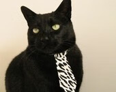 CBA常规赛收官广东稳居榜首,cba广东常规赛冠军