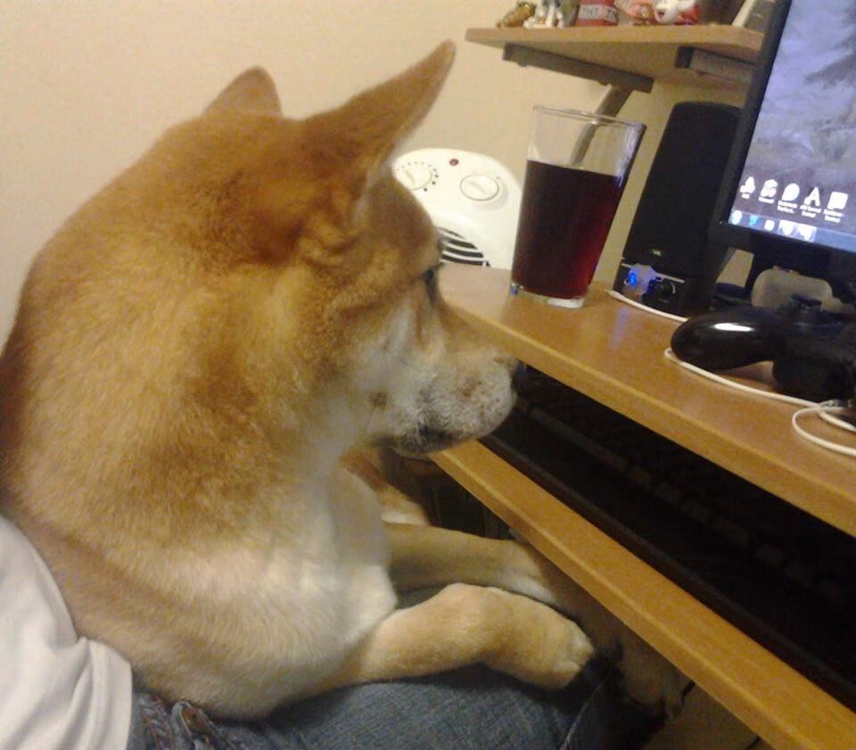 C罗继续保持高效率状态延续火热表现,c罗这一举动