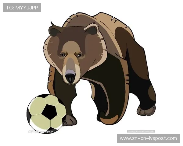 灰熊逐渐形成稳定模式