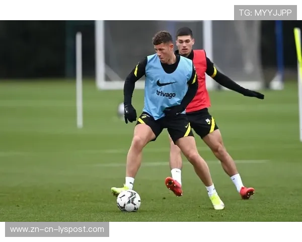 皇家社会冬窗租借策略全解析：深度补充，势在必行